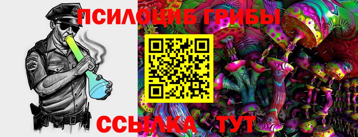 Псилоцибиновые грибы мухоморы Елабуга