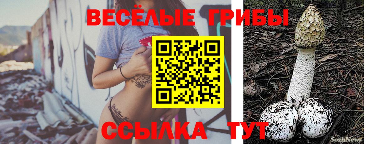 Галлюциногенные грибы мухоморы  Вход с VPN  что такое наркотик  Елабуга 